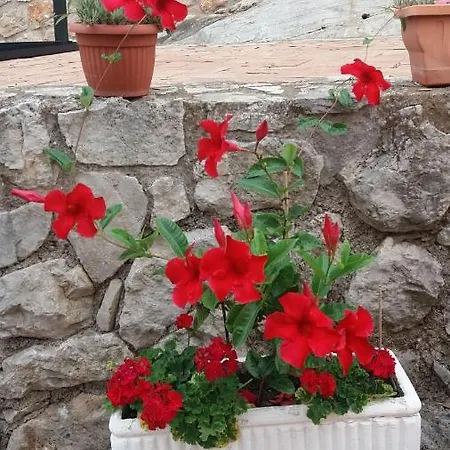 In Collina Apartment *