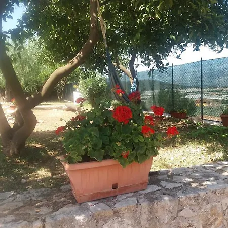 In Collina