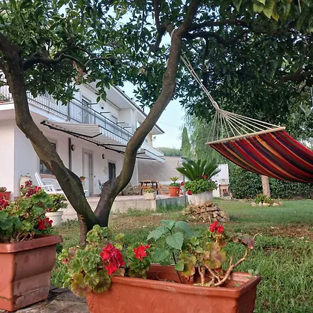 Apartment In Collina