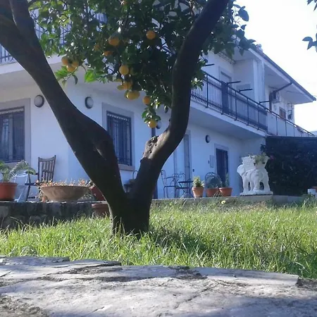 Apartment In Collina